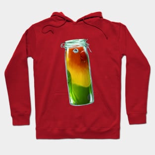 Fit In Lovebird Hoodie